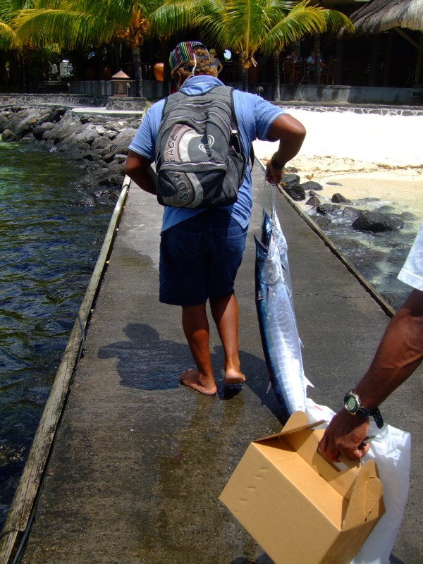 Mauritius 2010 - 0144 